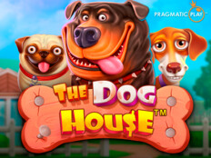 Rüyada köpeği yaralamak. Grandpasha online casino.55